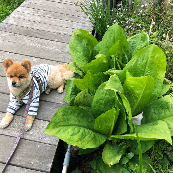 15d7ce66 19d4 41b0 b593 c2ba4d077b10 1618276899905