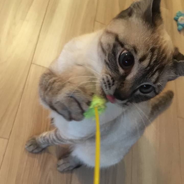 15d7e02e 2906 4985 b425 f635fe3780fc 1554854449224