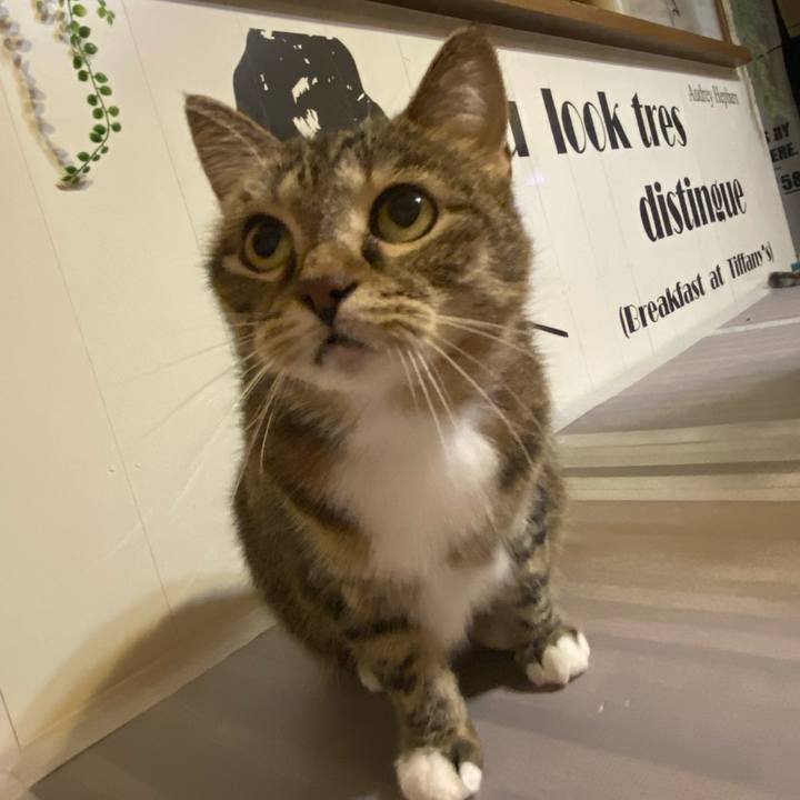 15d7e14e fd35 4a58 a274 998dffe65878 1631101005642