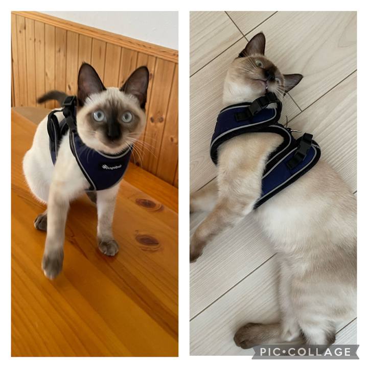 15d7ec3e 8d89 4828 b59e 3135707de007 1695548785963