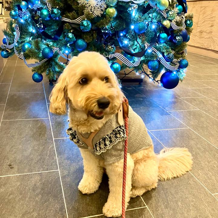 15d80265 0ea6 4d21 82de 5f4ab357d641 1763977402395