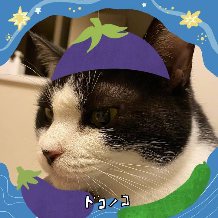 15d81579 a80f 4b82 a0ec 10be055385cf 1755139711692