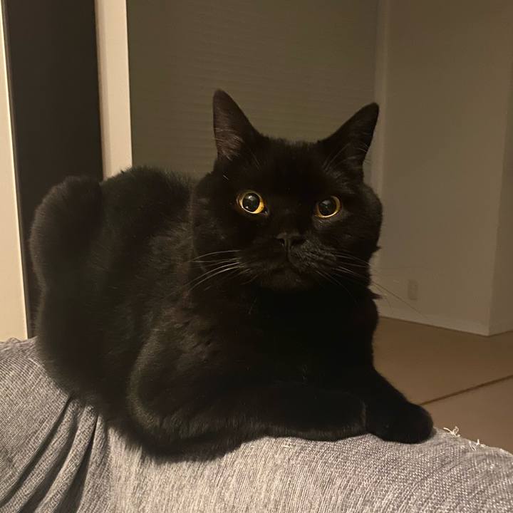 15d86eda 3ea4 4476 8274 16574305d9f4 1748005916744