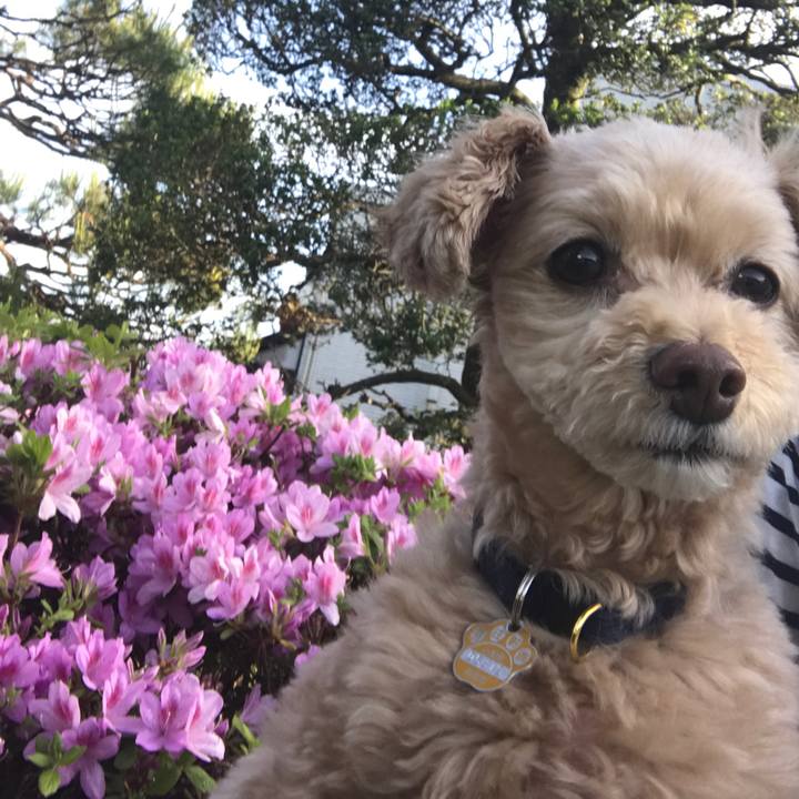 15d8794e b50d 4df8 9cd6 9f196f210de6 1512298743238