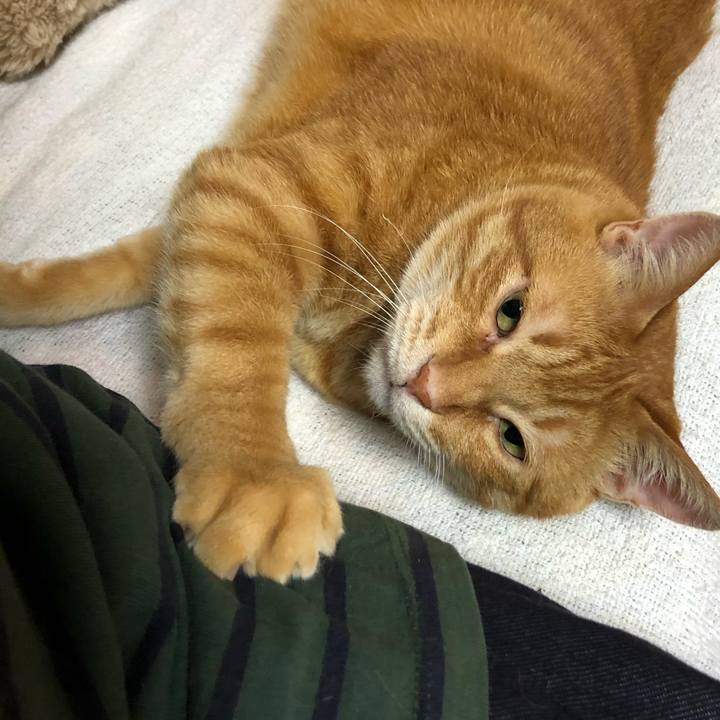 15d87b07 e332 4ec0 a7df ba5eb29bac36 1618742832576