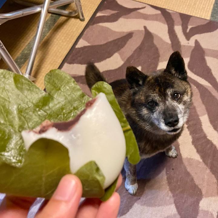 15d89e04 bf18 453a b658 7a380ea77b73 1651900412632