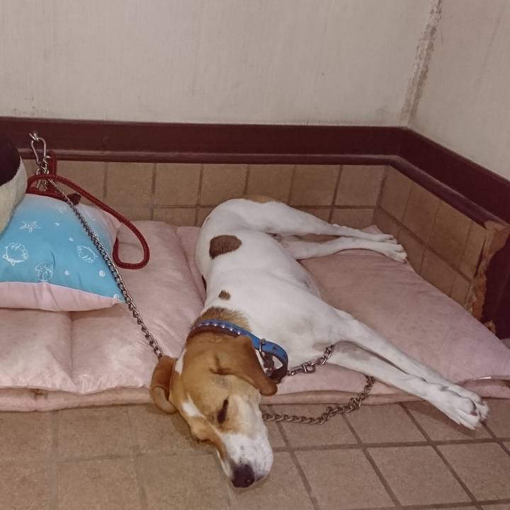 15d8caf6 ec51 4065 af38 0f15bf405deb 1564317698184