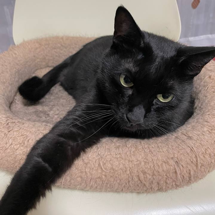 15d8e8a9 50d3 4dfc 9754 1717335e898e 1658750033897