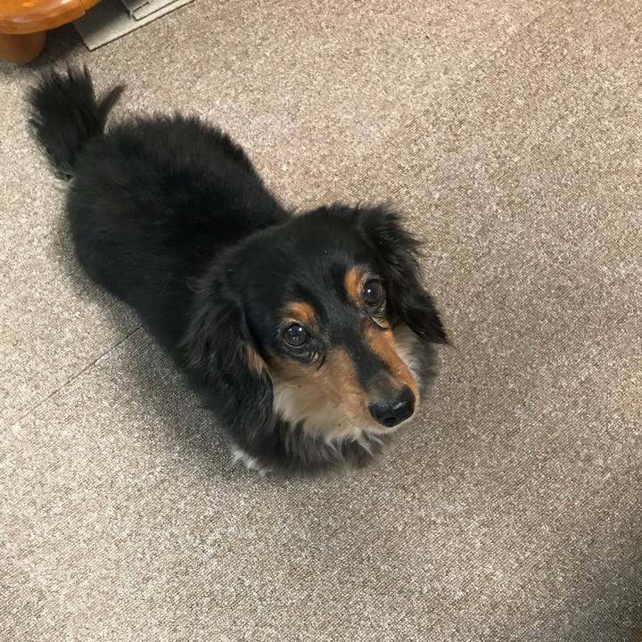 15d936d9 1b09 450e b1c8 76754b1ea723 1516314267699