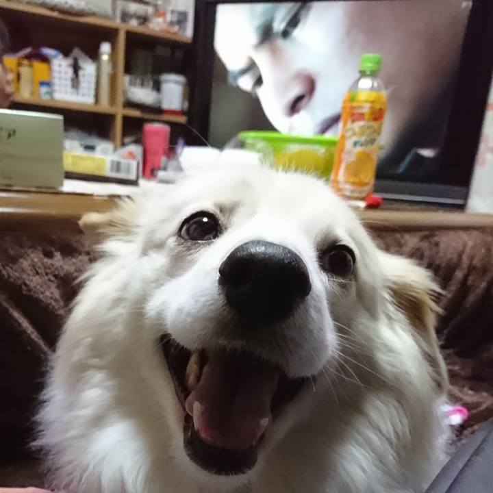 15d94c0b b129 464e b72f cafac55acc7e 1520251691444