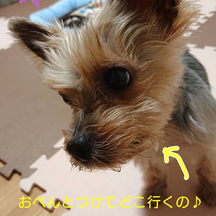 15d95a88 498f 480a 8b3d 508de77ab39c 1590929114384