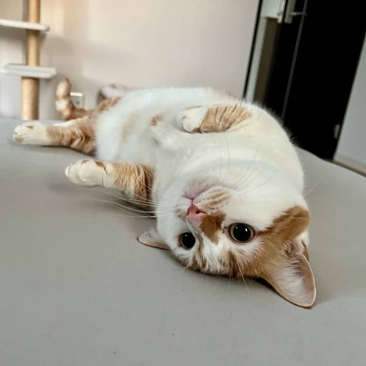 15d96077 d840 49e4 9381 5c258120f032 1770348265874