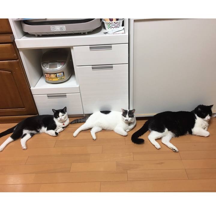 15d97341 7d57 4146 b1f6 b5518340bd85 1564972674722