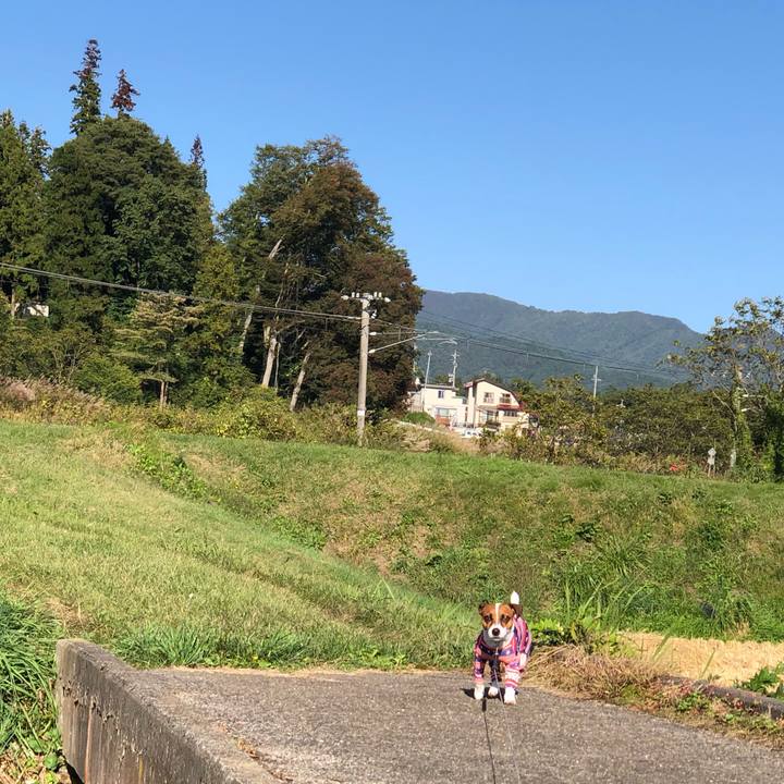 15d97c08 e64b 4ebf 88f5 7892d063c36f 1570622672753