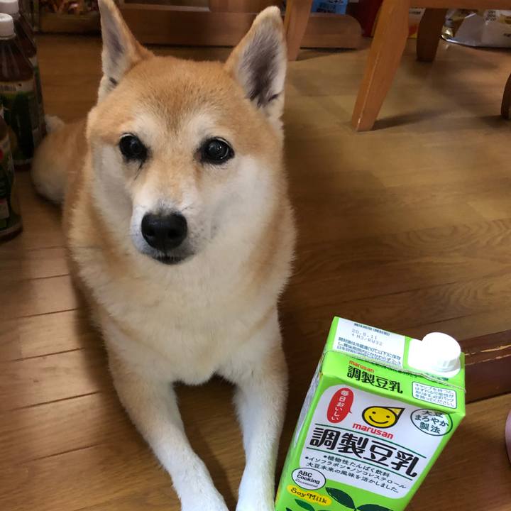 15d997f7 99eb 485a bb1f cc9c379f0759 1596622928906