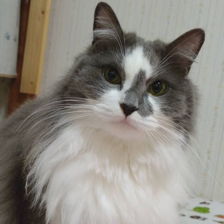 15d9d627 01c8 4d1a 9a4b 8438f69ce72c 1621714042113