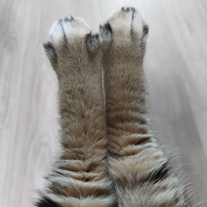 15d9f774 a384 4492 991c c5f1c623abcd 1759404315478