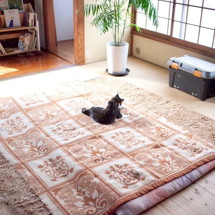 15d9fd8f 0b05 46f9 b1a5 b24317d229fa 1611553926281