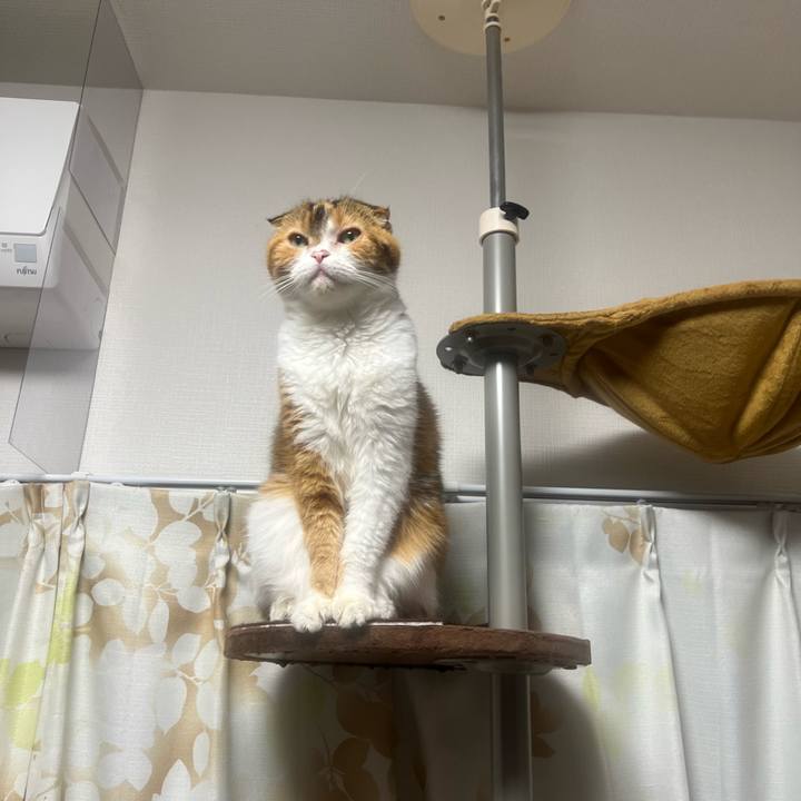 15da0e6d b210 4edd a0a7 263cbdb9ed40 1665840786311