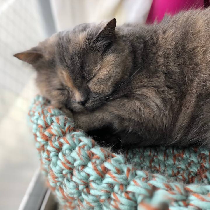 15da297a 9df1 43de 8cb5 fdc8e8727285 1774029755160