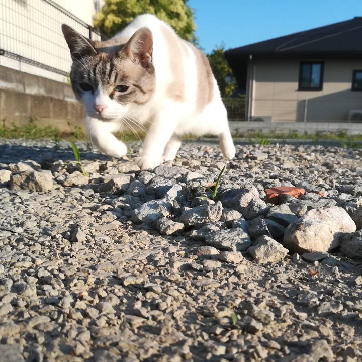 15da3236 d146 41ad af88 e531d4bf5a3d 1592731045824