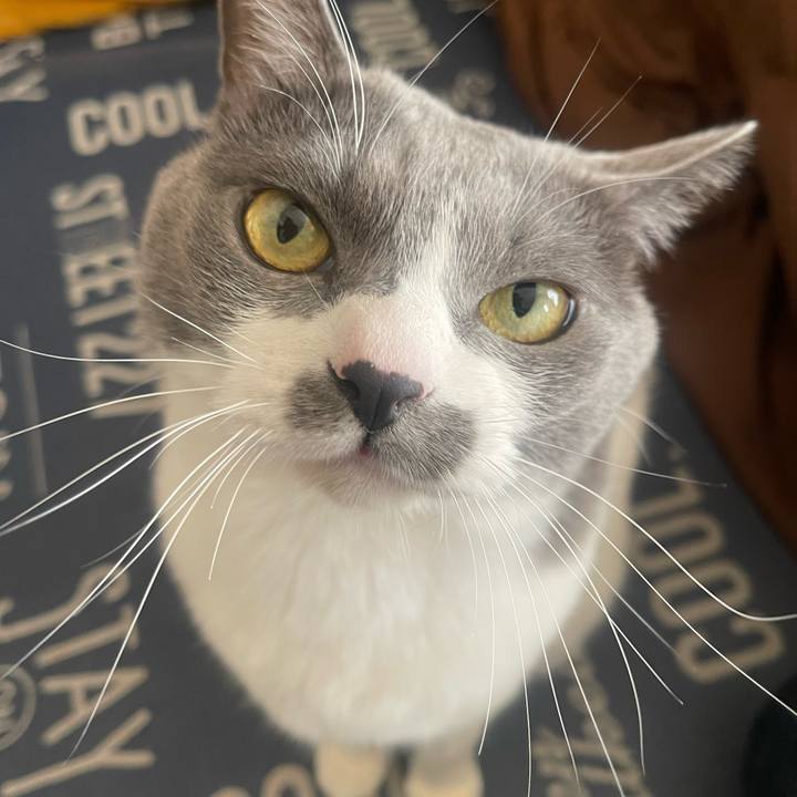 15da3d31 880a 477d 921a b66cc2b4615e 1734225716468