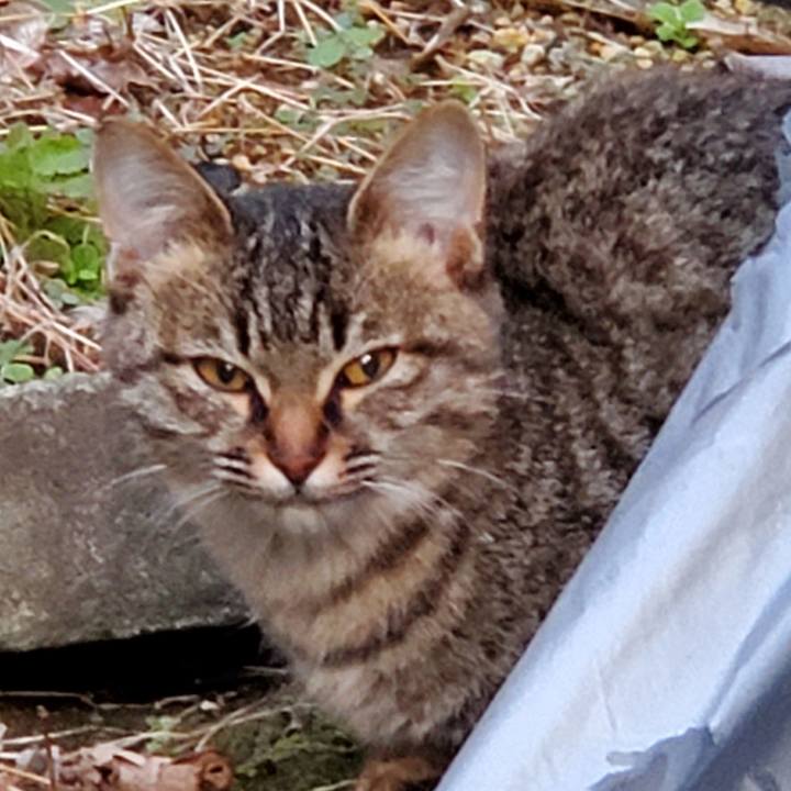 15da548a d8af 42ca 9369 21f542030bf7 1684206096950