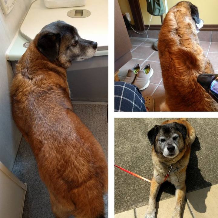 15daee1a 4bab 4685 9150 c350a0d6d6ad 1525149763092