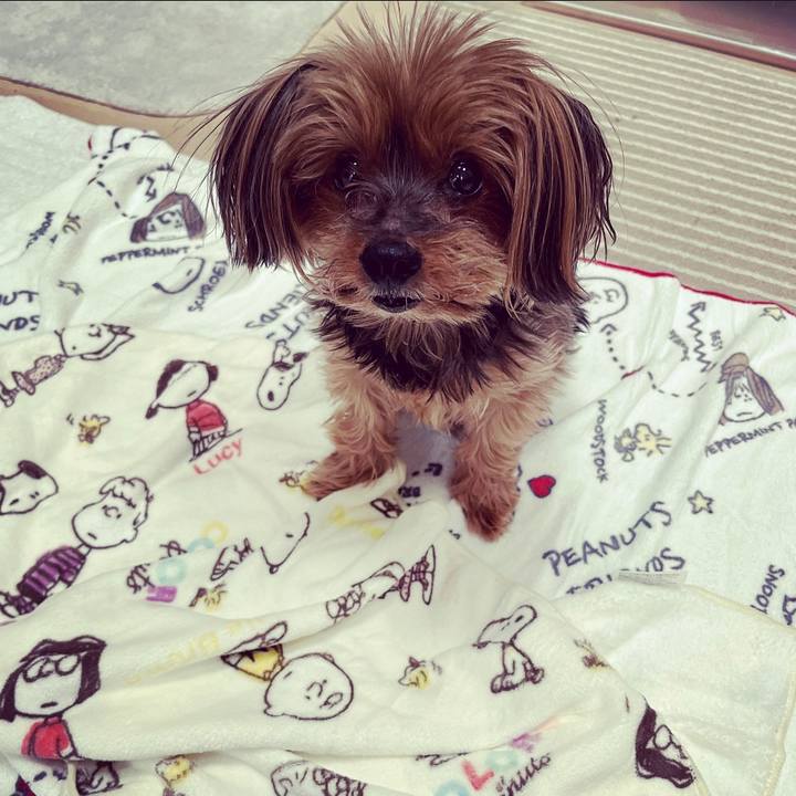 15daf469 25fe 4c3e b5e4 c4343ca2ba2c 1675396313187