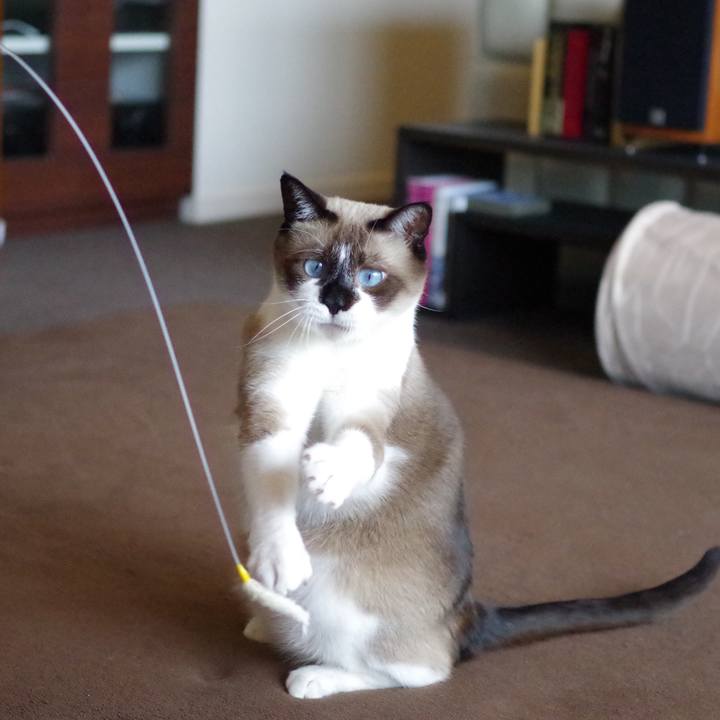 15db3169 f0da 48f1 b100 e0f260db7797 1534485148390