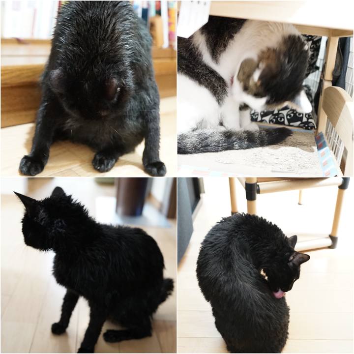 15db41f4 8b28 4b46 ab2f 460182ee3661 1564237962389