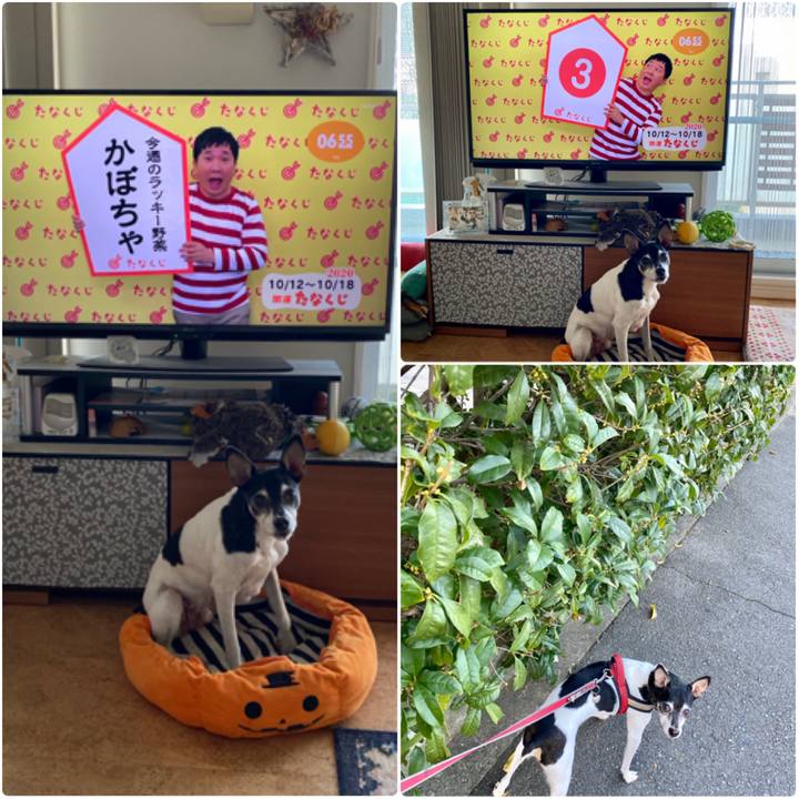 15db5f87 9a51 4d11 8937 a9a1c0e1627a 1602454125833