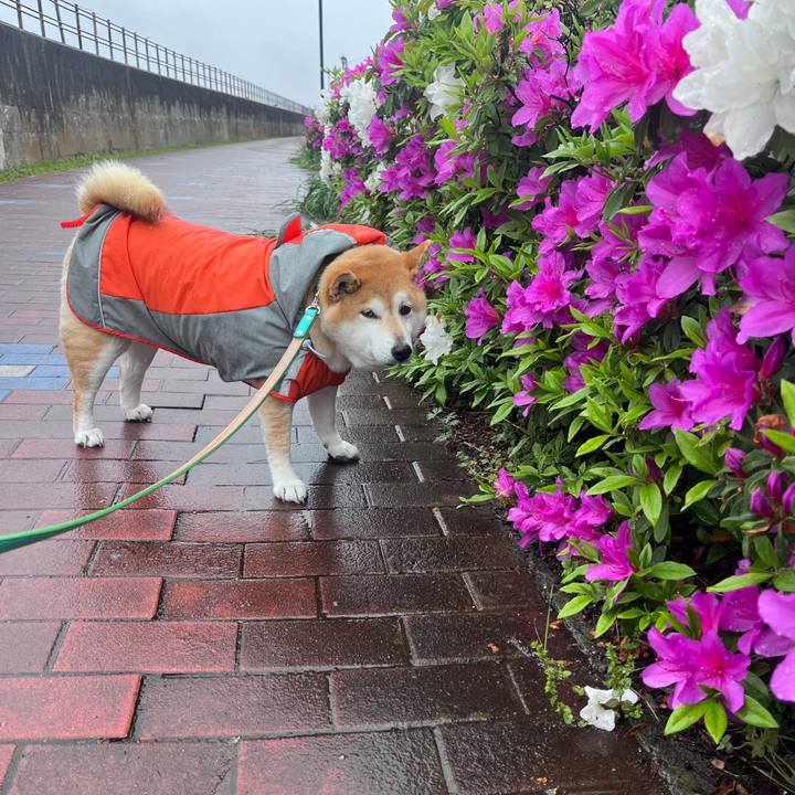 15db931d e44c 414f a218 34412c1fd3e8 1713944384275