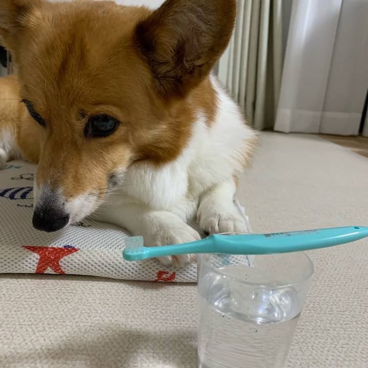 15db98ca 6aad 4685 ab0e ae8d1c04e8de 1688131217509