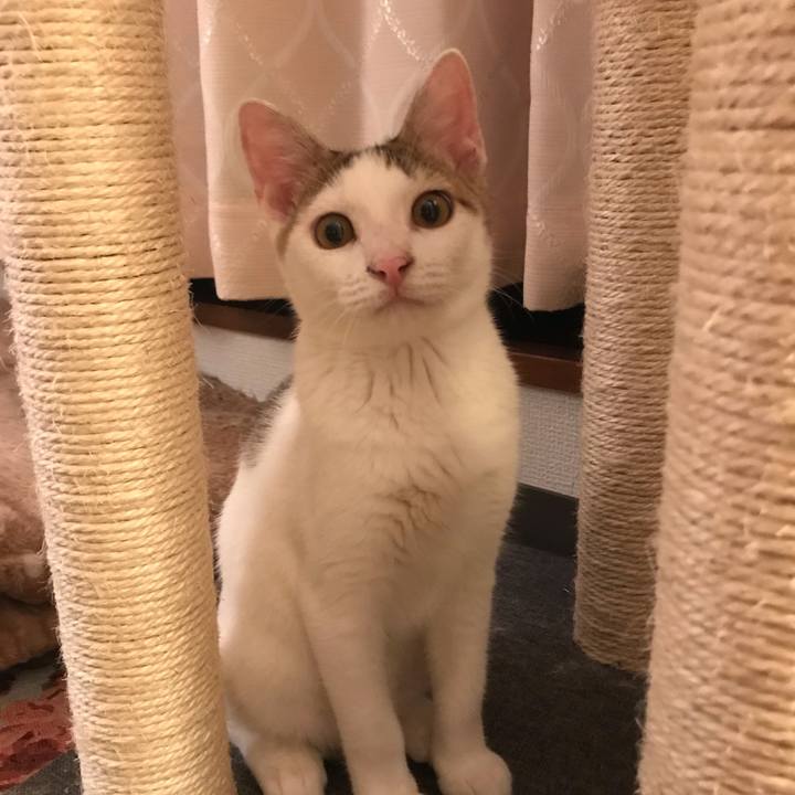 15dbc328 aae8 443d 98ce 23464e4faad2 1600314728154