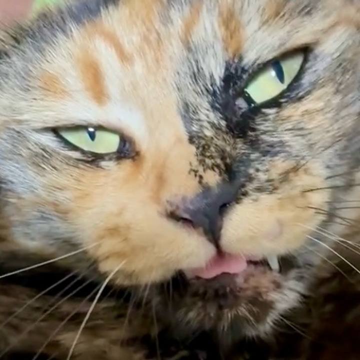 15dbd440 bbb4 4730 b9f3 e6fb4e0380f2 1747340774576