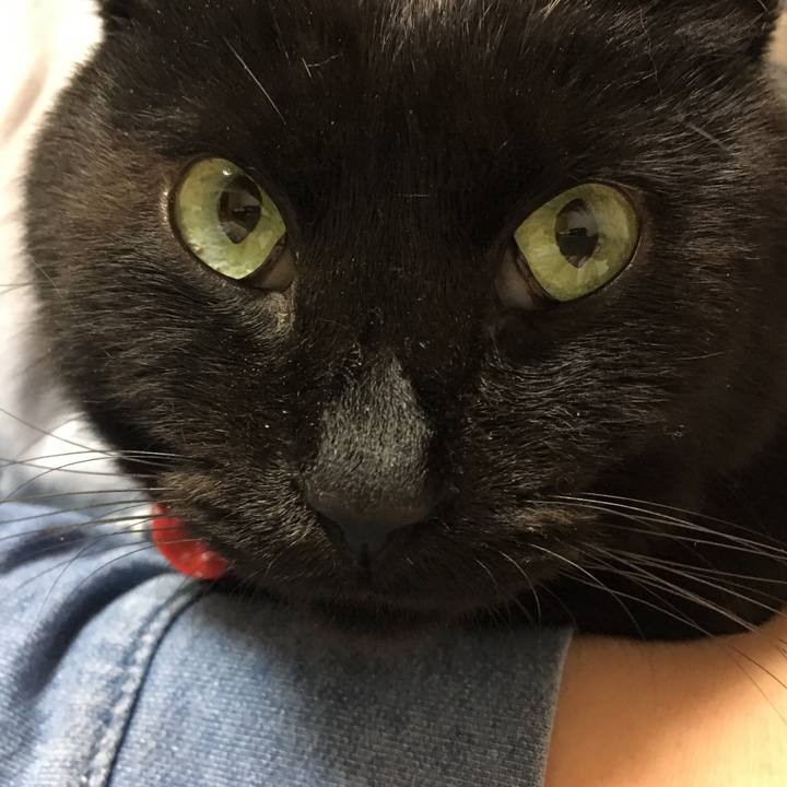 15dbdfa6 7edf 4802 beb6 a46b84635aa0 1551526793896