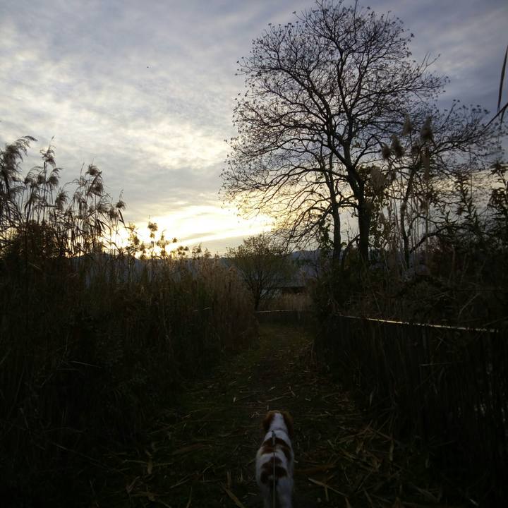 15dc0659 88dc 4ab1 9527 e16e2b3f14bb 1513382937932