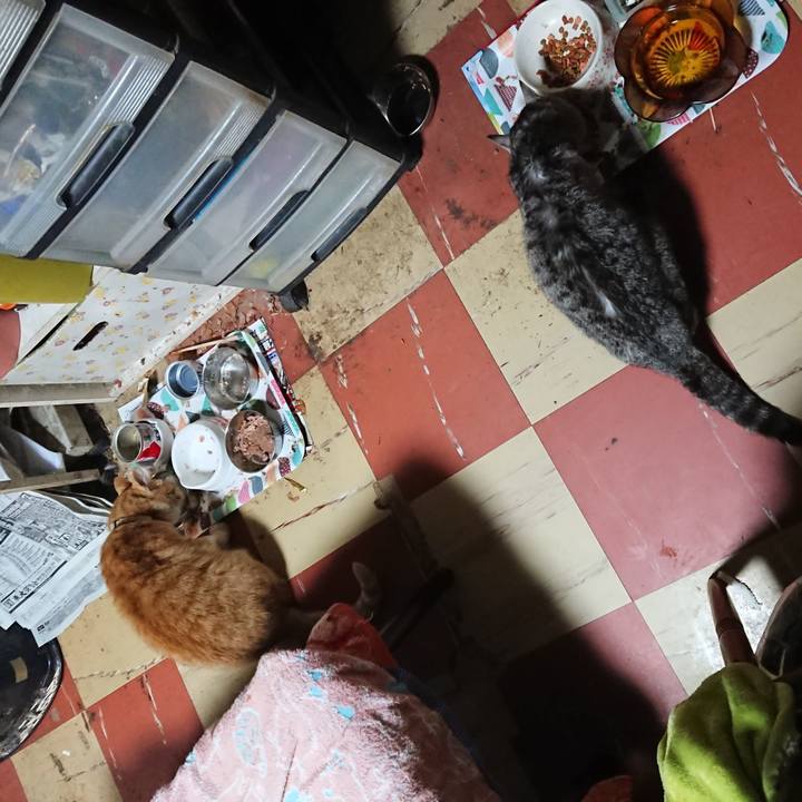 15dc3ec4 ead2 4022 81d3 6df44e48c7d9 1591042065261