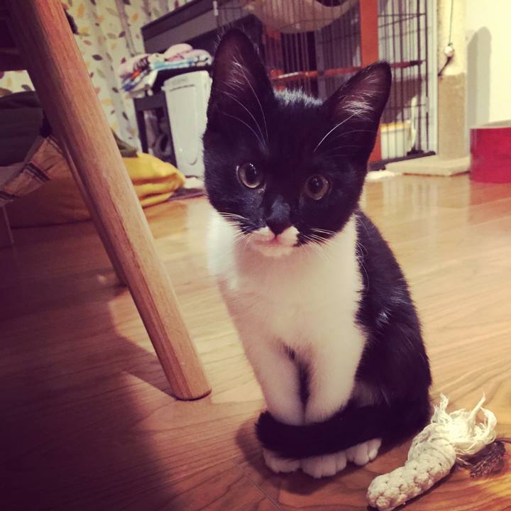 15dc4593 6687 426c 870a 39f63fa50c44 1523011090997