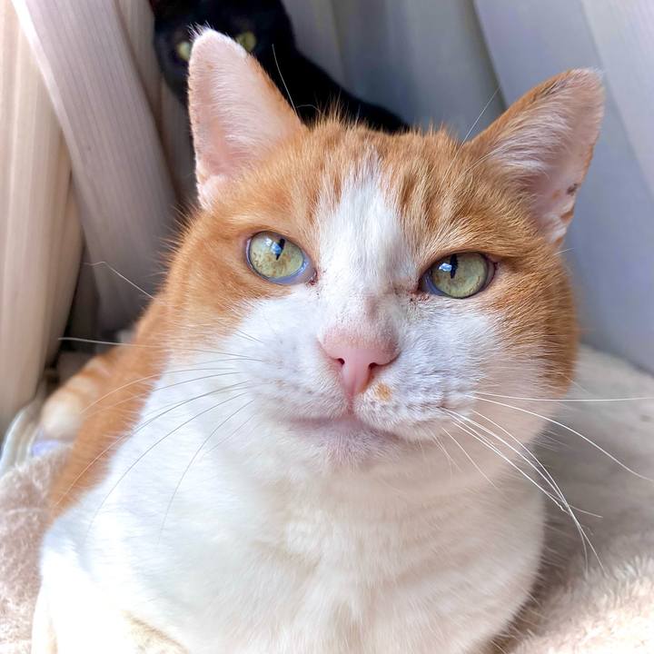 15dc7dd9 4d1b 4e15 af55 92254692d86f 1674191784060