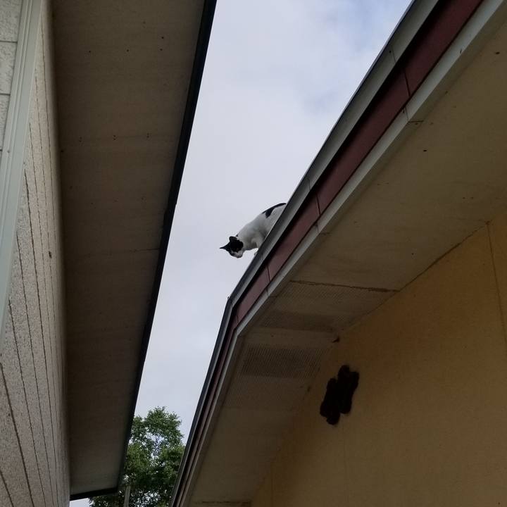 15dc8430 8c9c 44c2 9ee5 d1d17174056c 1564921231158