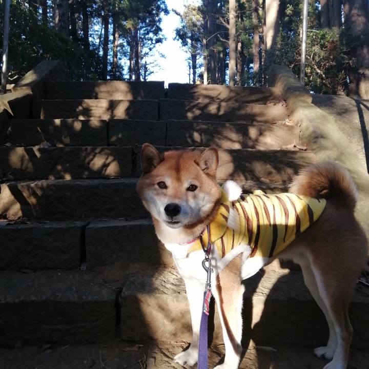 15dc9d6a 1e2c 455f be56 127c05a45bee 1641042876505