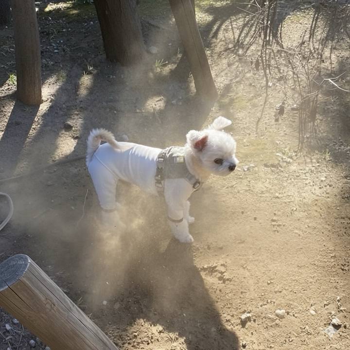 15dca45f 9448 4f67 8c8d 0e2d43b10822 1768097854894