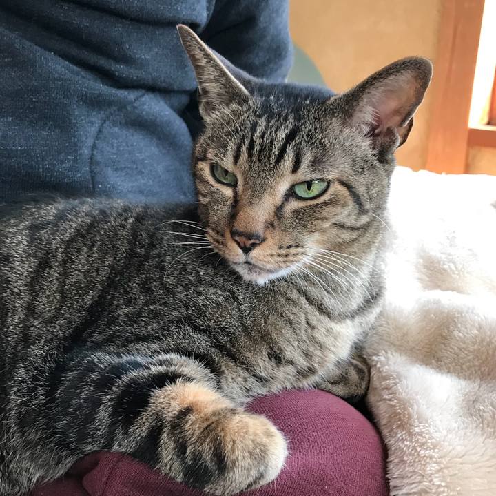 15dcc220 408a 407d be85 e4476c7a6fbf 1521942971426