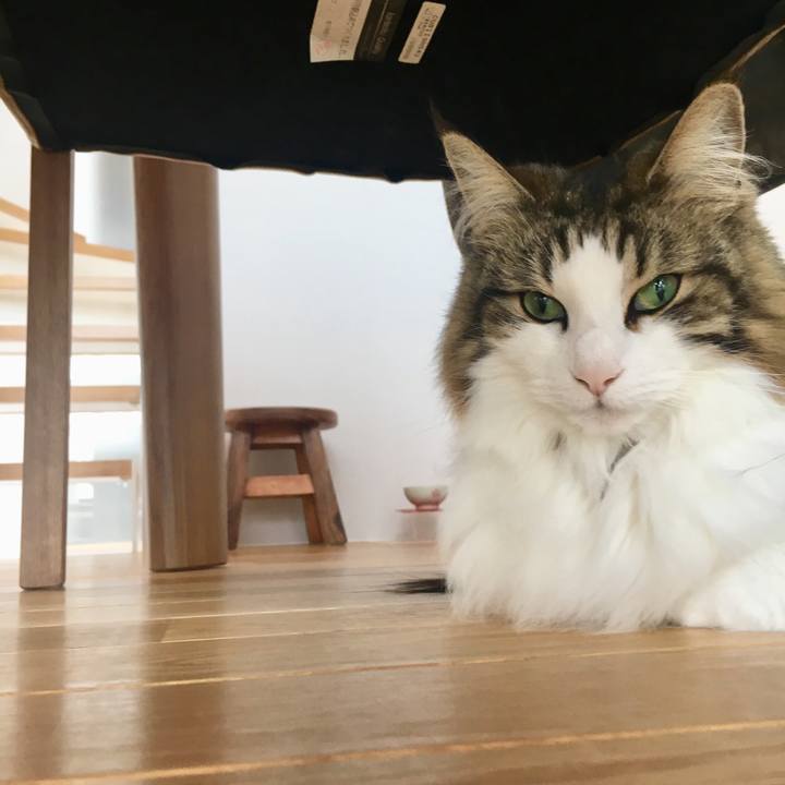 15dcd495 30f4 409b aa7c a50ccd498b50 1550879664146