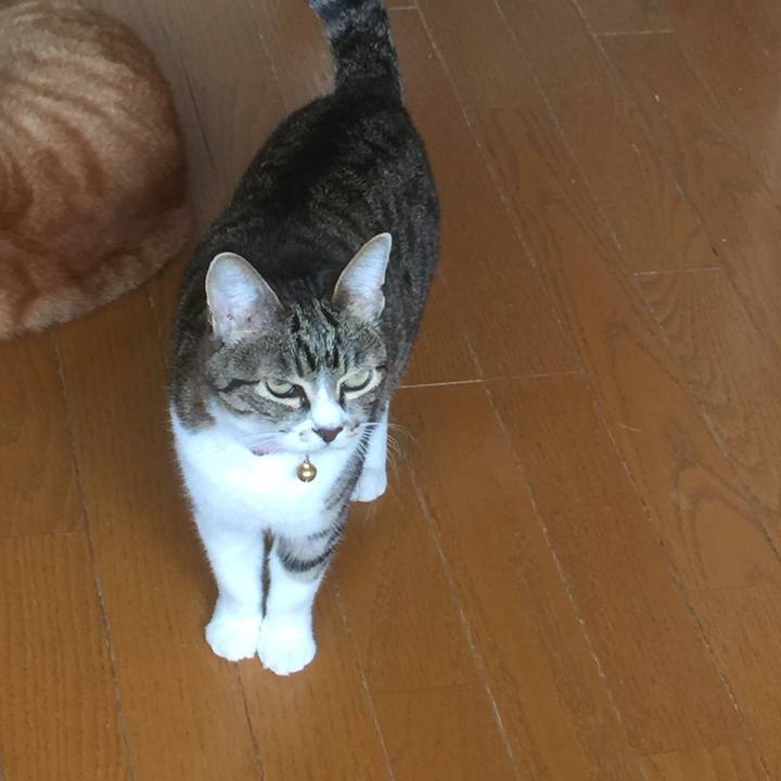 15dd2fae db02 4ce0 a4ca d83377b1fa2b 1556680311444