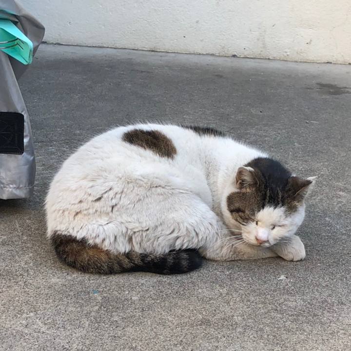 15dd5bf8 fc1c 48fe a2ce e29524a4d969 1558179952395