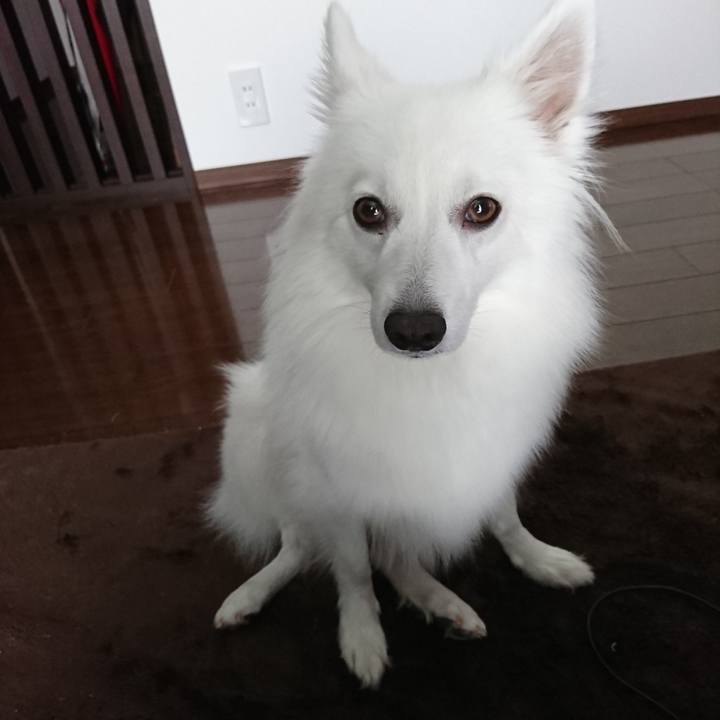 15dd6359 3b18 475b bd4f 5986f72526f1 1529381085602