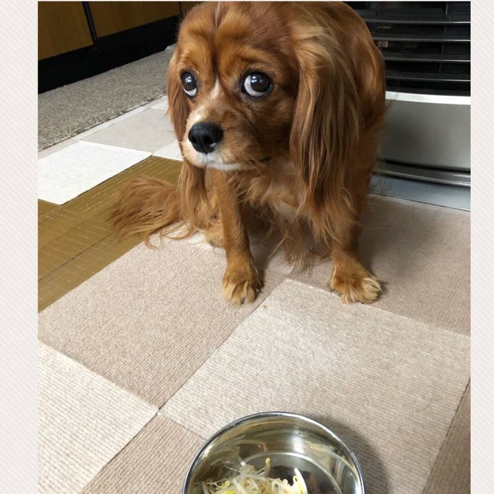 15dd7ac2 b712 405b a71b b497466a0cf7 1587185076799